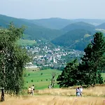 Ferienblockhaus Mit Sauna Und Meinecardplus - Direkt Am Sonnenlift Hébergement de vacances