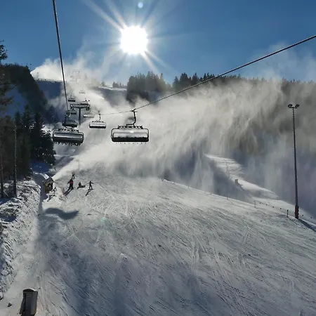 Tatil Evi Ferienblockhaus Willingen Mit Sauna Und Meinecardplus - Direkt Am Sonnenlift Willingen (Upland)
