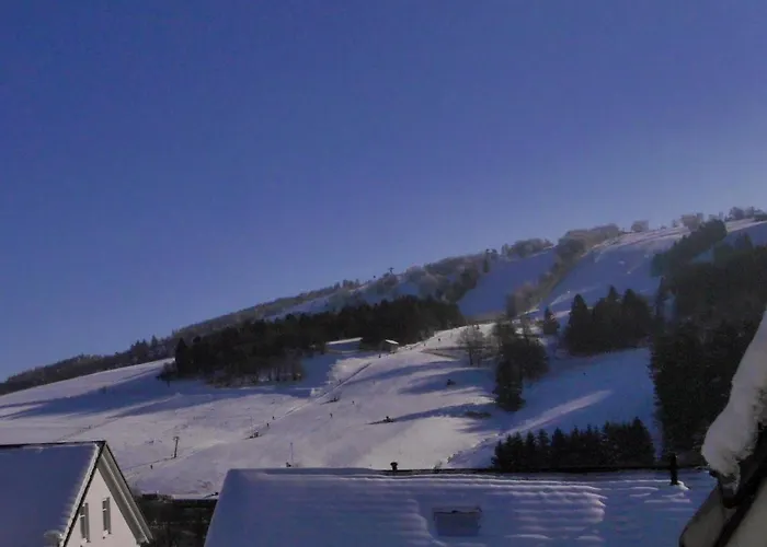 Ferienblockhaus Mit Meinecardplus Hébergement de vacances Willingen (Upland)