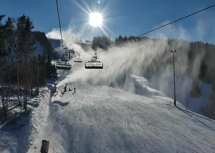 Hébergement de vacances Ferienblockhaus Mit Meinecardplus Willingen (Upland)